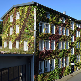 BuGG-Fachkongress: Bestandsgebäudegrün 