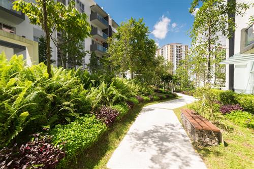 Stadtgrün, Parks und private Gärten: Lebensqualität mit Grün boomt