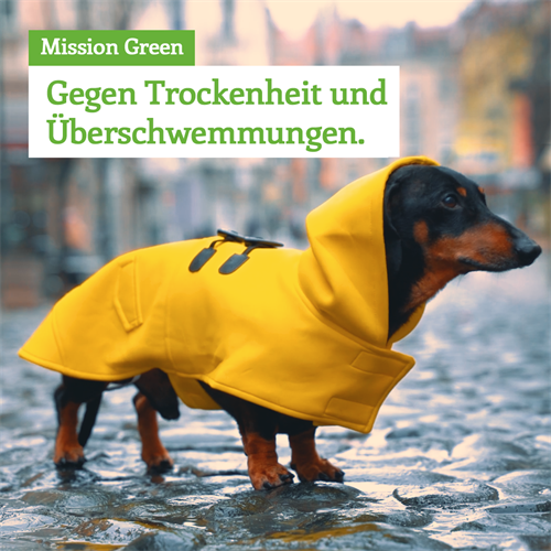 Imagefilm der Landschaftsgärtner NRW: Unsere Mission Green – um Deutschland klimafit zu machen