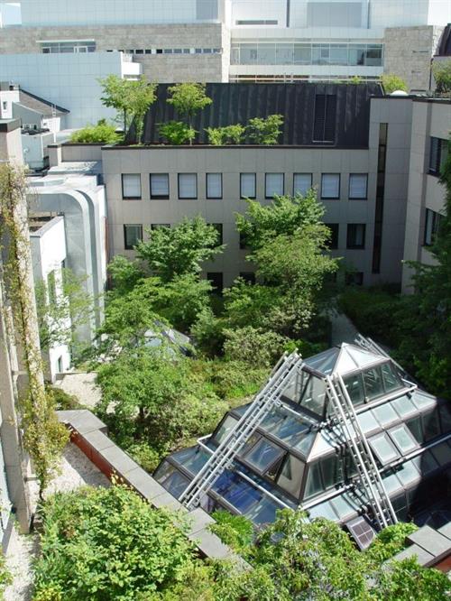 Hitze, Trockenheit, Hochwasser & Co.: Zukunft wird gemacht!