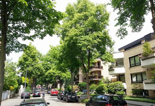 Eine Branche mit grüner Zukunft: Beste Aussichten für Macher!
